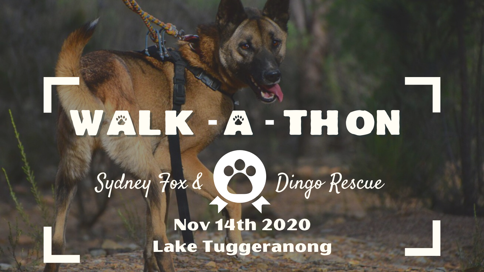2020 Canberra Walk-a-thon