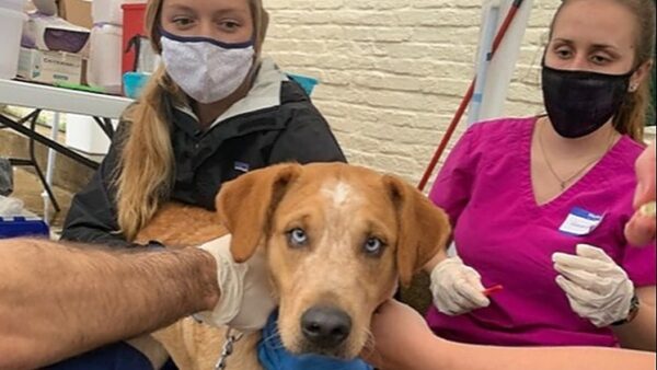 Community and Veterinary Outreach Club