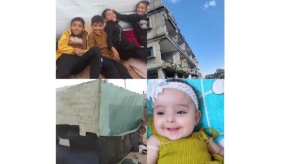 https://sadik-o.com - refugees and asylum seeekers - Help the Displaced Mahmoud Family in Gaza to Survive