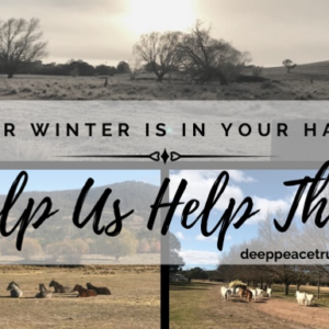 Their Winter is in Your Hands 2020