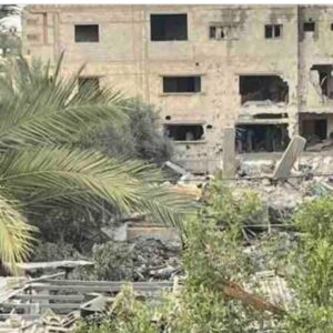 https://sadik-o.com - refugees and asylum seeekers - From ruins to hope