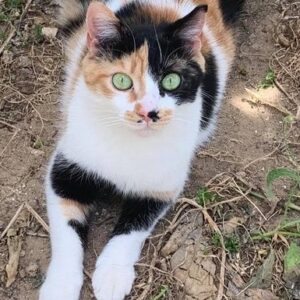 From Street Life to Sweet Life for gorgeous Dora
