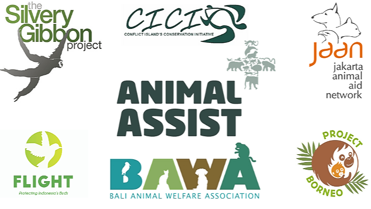 ANIMAL ASSIST HERO FUND